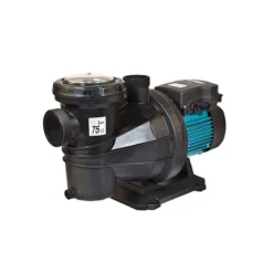 Pompe De Piscine Silver 22 M Espa